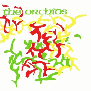 R-1053434-1345825071-1058