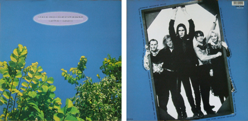 5239242_81798fa5f8_o