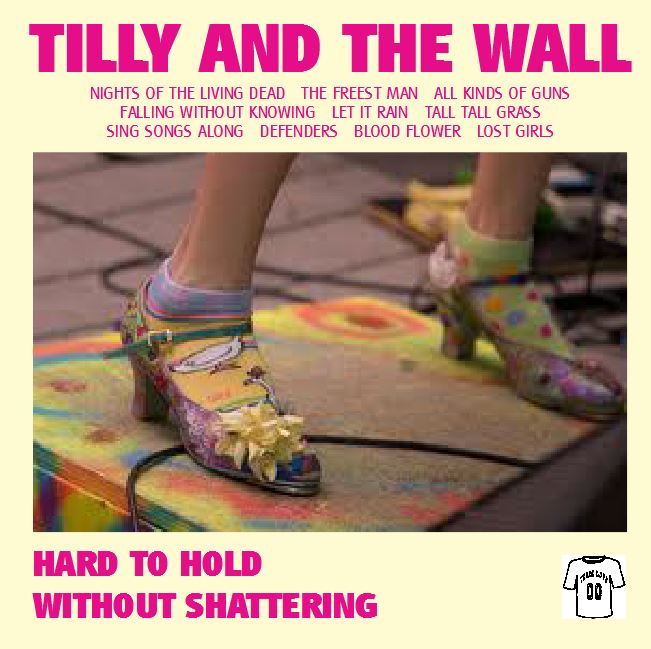 Tilly and The Wall – THE NEW VINYL VILLAIN