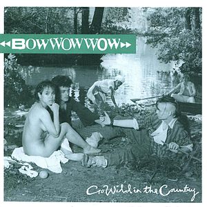 Go_Wild_in_the_Country