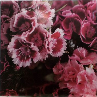 R-1014142-1389831477-3641