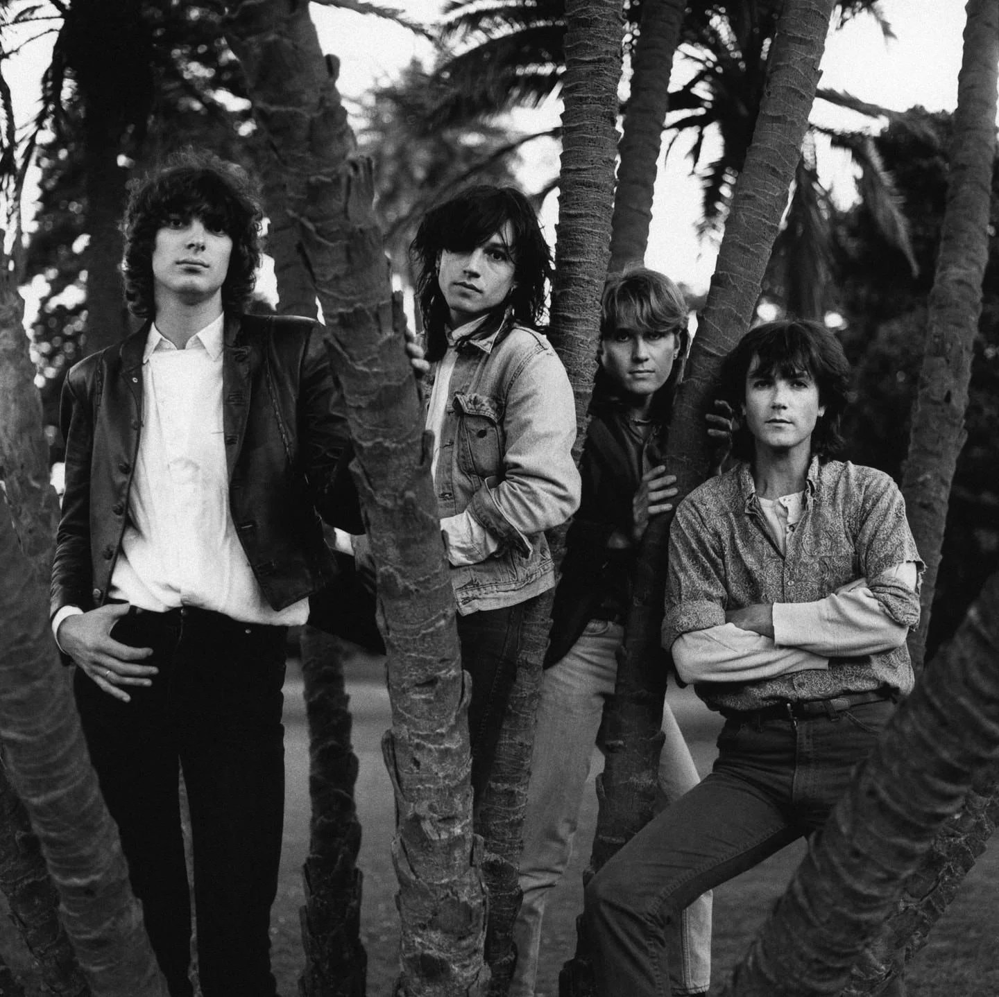 73c8f562114a3fe8f7968722e579384a